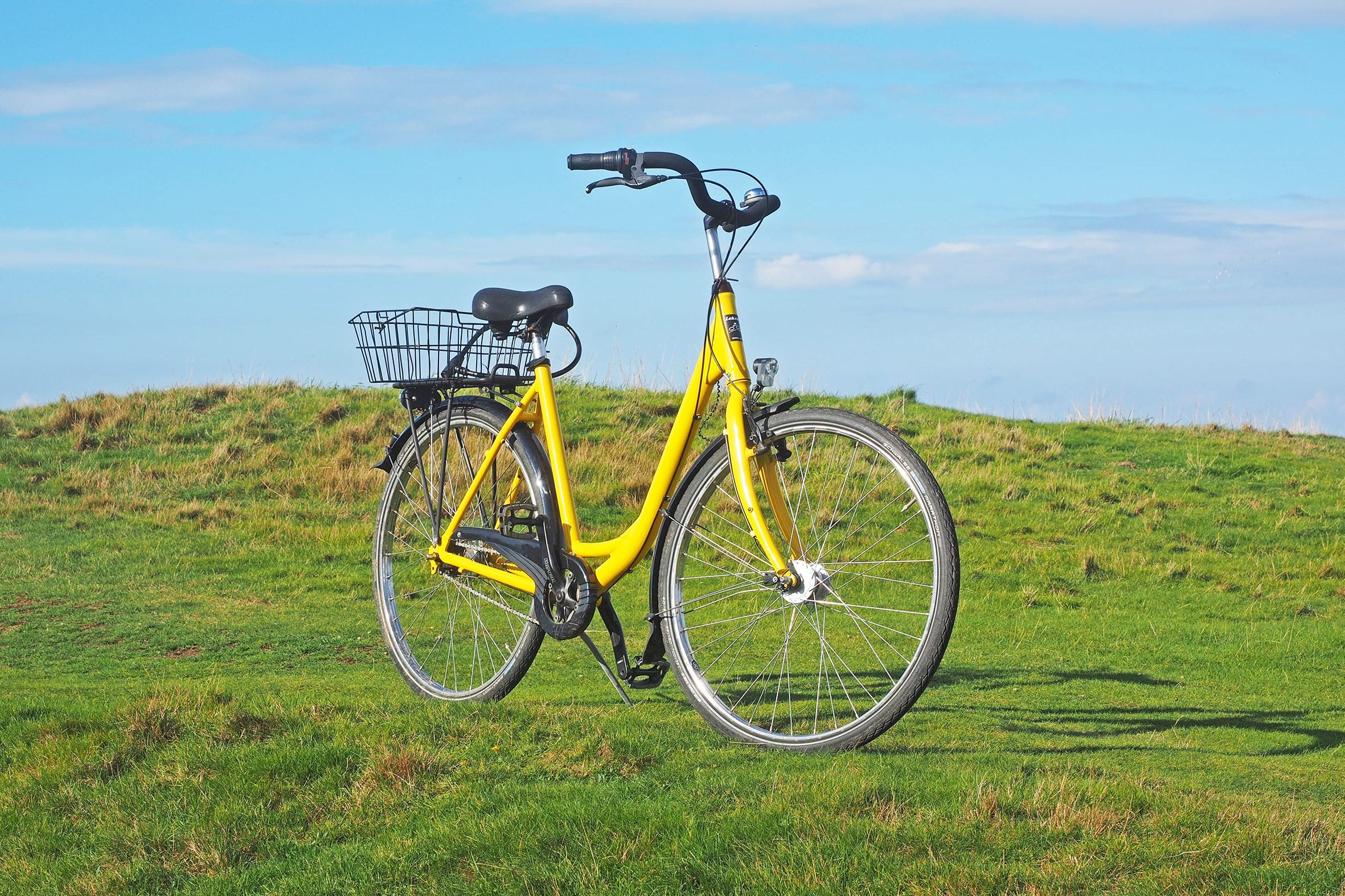 Ein Fahrrad von Sehnsucht Sylt steht auf einer Wiese